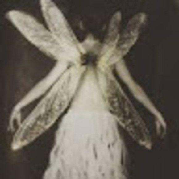 Meet your Posher, Fae - Picture 1 of 1